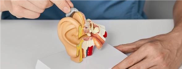 consultation Patient receiving audiology consultation for hearing care